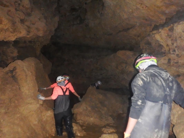  Espeleologia com macacos aquáticos 